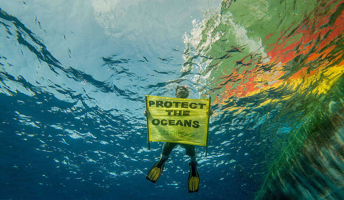 Unglaublich! So Schützen Wir das Ozeanökosystem – Die Geheimnisse, die niemand Ihnen erzählt!