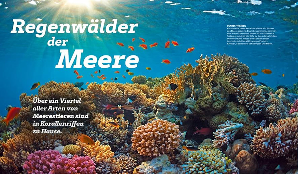 Du wirst nicht glauben, was mit unseren Korallenriffen wirklich passiert!