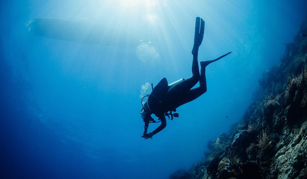 Schokkend geheim onthuld: Korallenwachstum sneller dan ooit!